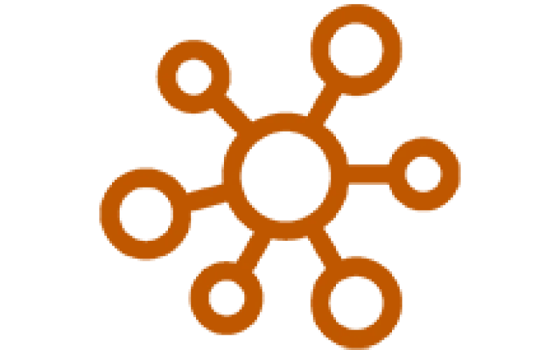 Network icon. Deemak Daksina, The Noun Project